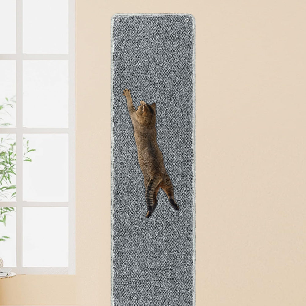 FHTONGE vue frontale du tapis mural montrant la grande surface de grattage