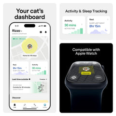 Fi Mini sur chat en extérieur montrant tranquillité et repérage immédiat