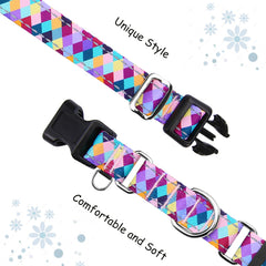 Fidohug collier gros plan sur le nylon mettant en valeur la texture résistante