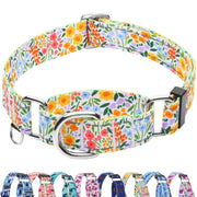 Fidohug collier face avant montrant design et confort