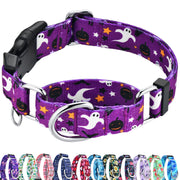 Fidohug collier martingale vu de face, maintien sûr et style Halloween