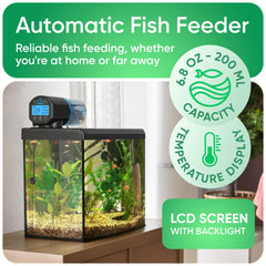 FISHNOSH écran du thermomètre numérique lecture claire et sécurité