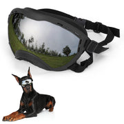 Flantor lunettes vue de face protégeant les yeux du chien