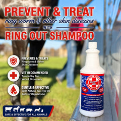 FlexTran gros plan texture du shampooing montrant consistance douce