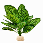 FLmoving vue avant de la plante Calathea synthétique pour décor naturel