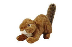 Fluff & Tuff Red Squirrel en jeu lors d'un tiraillement encourage l'interaction