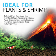 Fluval gros plan sur granulométrie montrant texture favorable aux racines