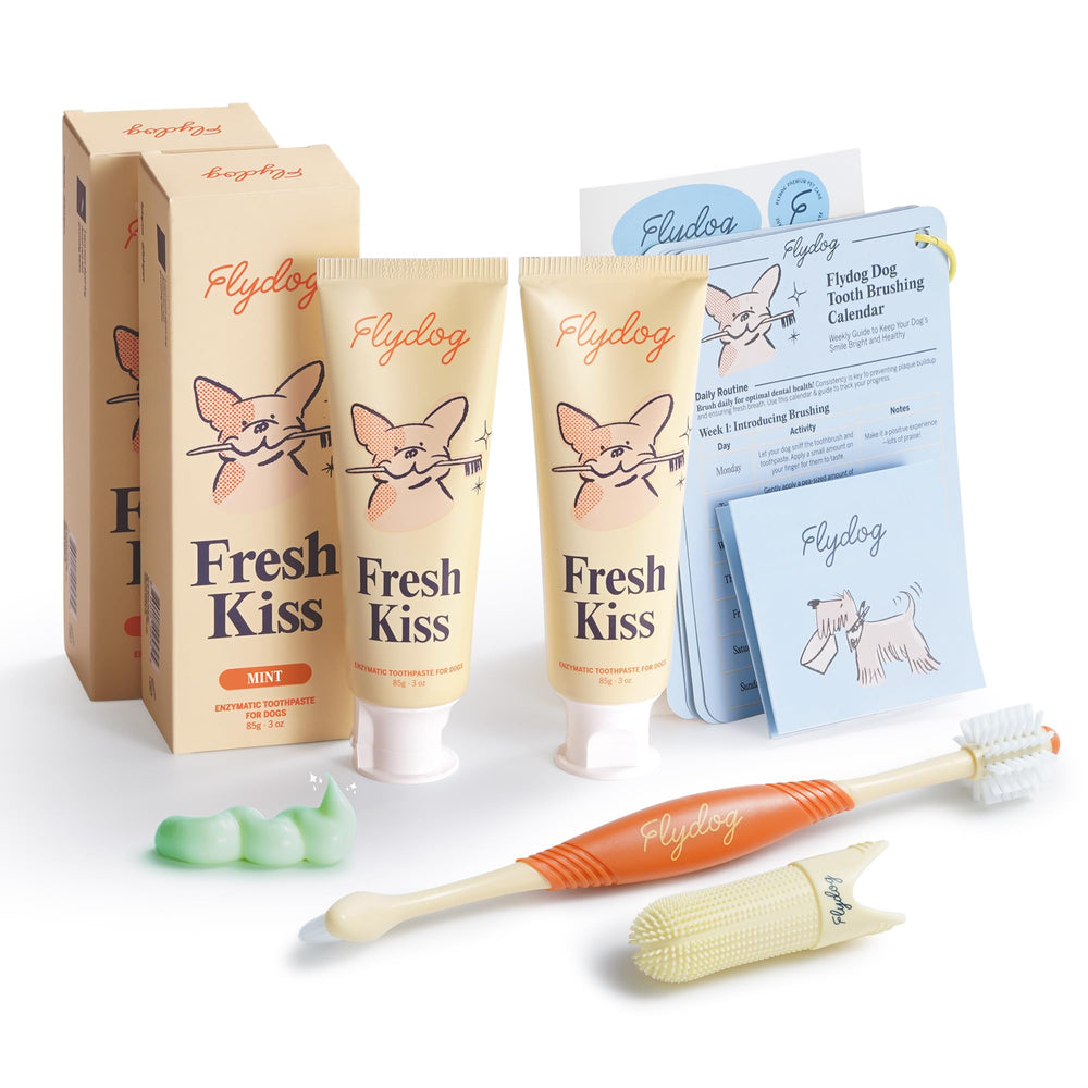 FlyDog emballage avant montrant le kit complet et avantages visibles