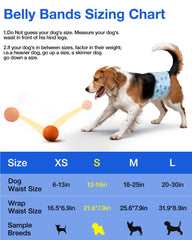 Flying Paws bande portée sur chien mâle pour confort et maintien