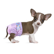 Flying Paws emballage recto montrant pack de 40 et protection