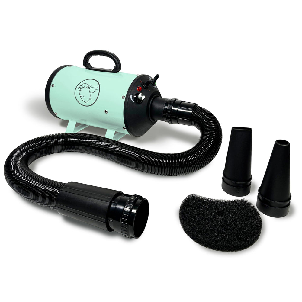 Flying Pig Grooming vue avant du Flying One montrant design mint et logo gris, professionnel