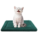 Fogkiss tapis face avant emballé montrant finition durable et accueil confortable