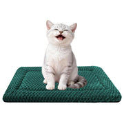 Fogkiss tapis face avant emballé montrant finition durable et accueil confortable