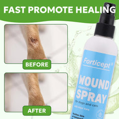Forticept application sur chat pour calmer irritations et protéger peau