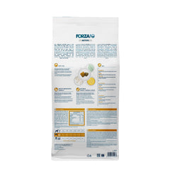 Forza10 gros plan des croquettes texture et qualité nutritionnelle