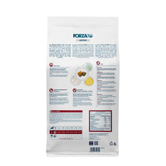 Forza10 gros plan croquette montrant texture digeste et appétence