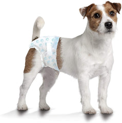 Four Paws coupe transversale révélant noyau absorbant haute capacité