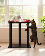 FourFurPets grand plateau 22x15,7 pouce offrant espace de repos