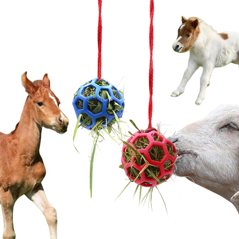 Foycow balle de foin vue avant montrant design ajouré et robustesse