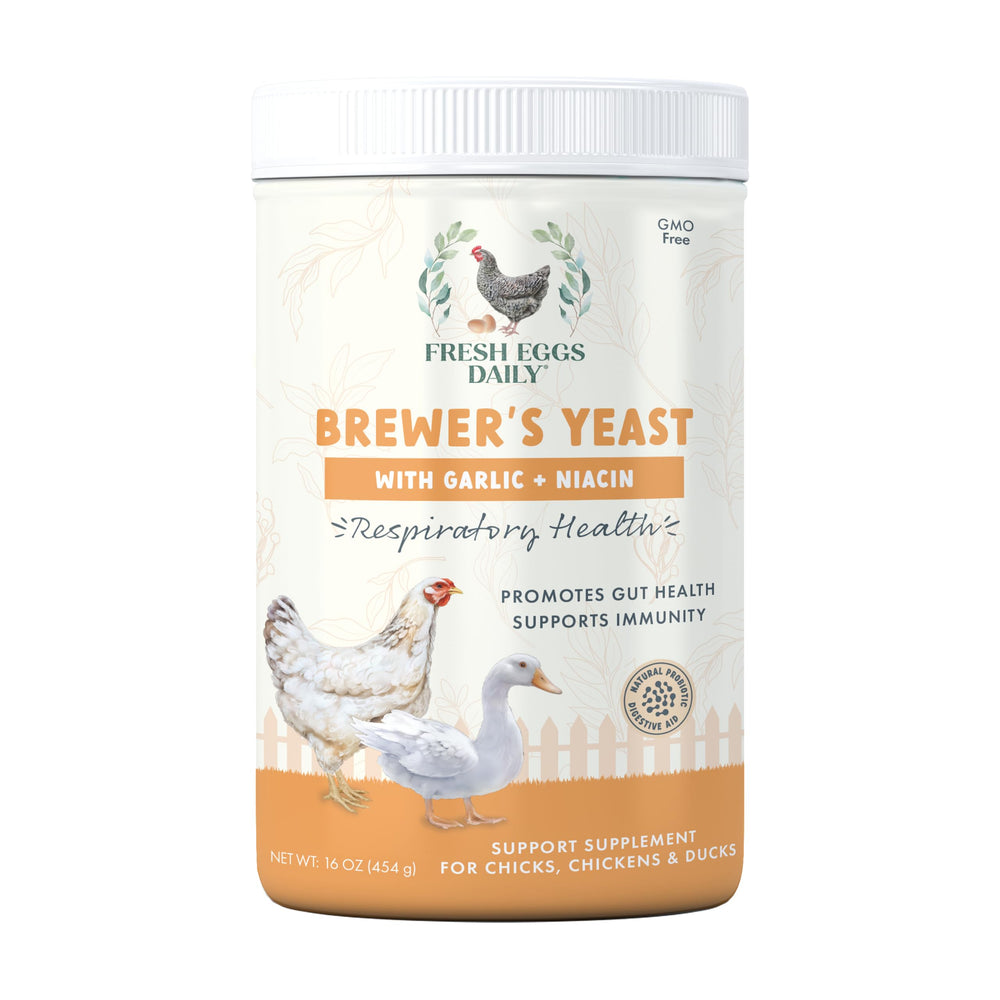 Fresh Eggs Daily emballage avant montrant la poudre et bénéfice nutritionnel