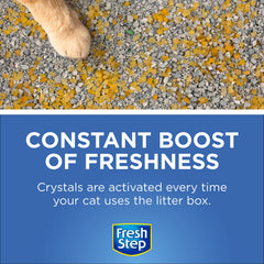 Fresh Step gros plan sur la texture des cristaux pour absorption optimale