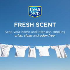 Fresh Step cristaux en gros plan montrant la texture absorbante