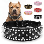 Frienhund collier face avant, style audacieux et protection visible