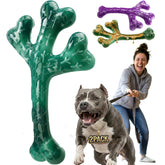Frienhund vue avant du lot de deux jouets cactus durable utile