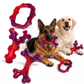 Frienhund pack six emballage avant montrant contenu durable et économie