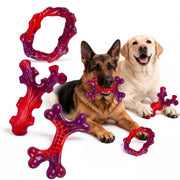 Frienhund pack six emballage avant montrant contenu durable et économie