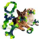 Frienhund emballage avant montrant le pack de six jouets durables et leurs avantages