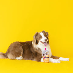 Fringe Barkin Donuts en usage chien rapportant jouet stimulant