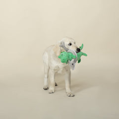 Fringe Shark Week REX chien jouant stimule rapport et exercice actif