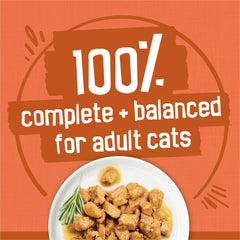 Friskies gros-plan des morceaux et texture pour appétence élevée