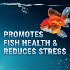 Fritz Aquatics gros plan sur texture granulaire pure bénéfice pureté