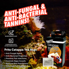 Sachet Fritz Aquatics placé dans un filtre, diffusion régulière des tanins bénéfique