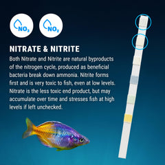 Utilisation d'une bandelette Fritz dans un aquarium pour contrôle immédiat