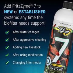 Application de FritzZyme 7 dans le filtre montrant réensemencement rapide