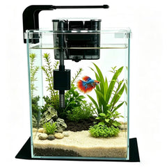 FS&AQ aquarium face avant montrant design compact et gain de place