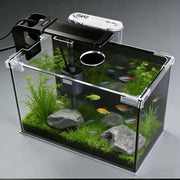 FS&AQ aquarium vue face montrant eau claire et poissons, avantage esthétique
