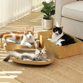 FUKUMARU vue de face de l'ensemble 3pcs, offre polyvalente pour chat
