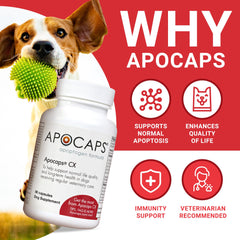 Functional Nutriments Apocaps CX gélule gros plan illustrant la texture et pureté