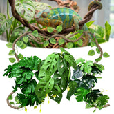 Funtinshdy vue avant du kit décor pour terrarium, transformation rapide
