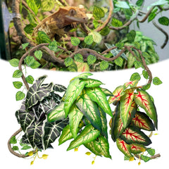 Funtinshdy vue générale du kit prêt à installer, gagnez un terrarium naturel