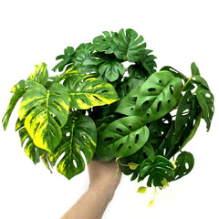 Funtinshdy gros plan feuilles en soie réalistes, contact doux et sûr