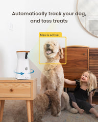 Furbo affichant zoom 4x sur écran, Furbo permet de voir les détails