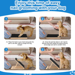FurFlasher gros plan de la surface abrasive pour limage efficace