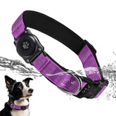 Furrigo collier face montrant design intégré et protection de l'AirTag
