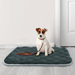 furrybaby gros plan polaire douce offrant confort et chaleur