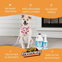 FurryFreshness application sur tapis démontrant élimination de taches